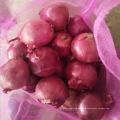 China yellow onion 50-70 mm hot sale, quality fresh red onion export